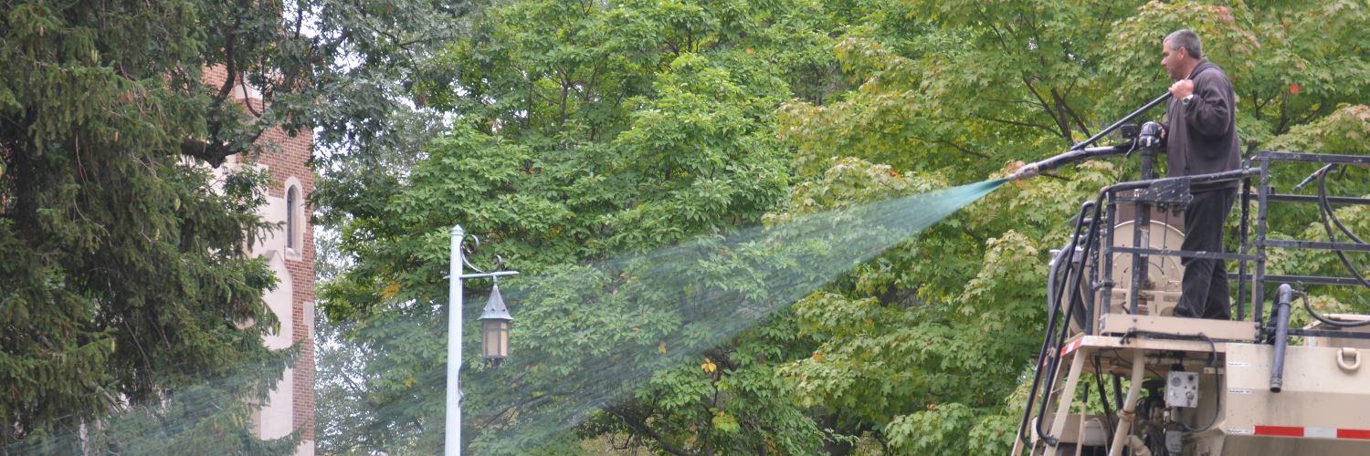 Landscaper waters greenery at MSU