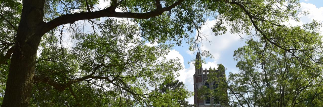 Beaumont tower