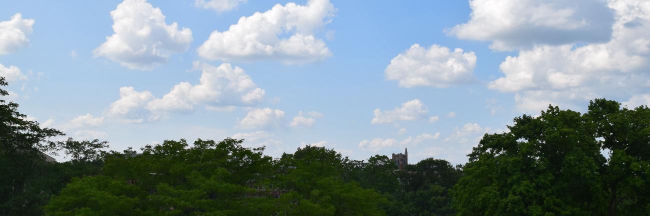 Beaumont Tower