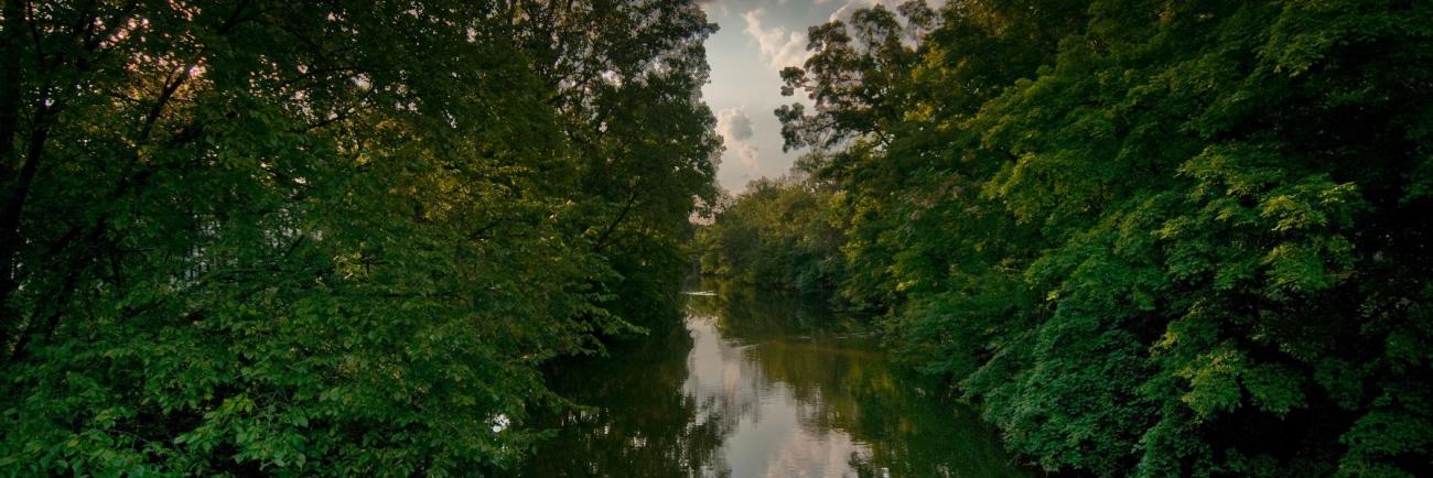 Red Cedar River