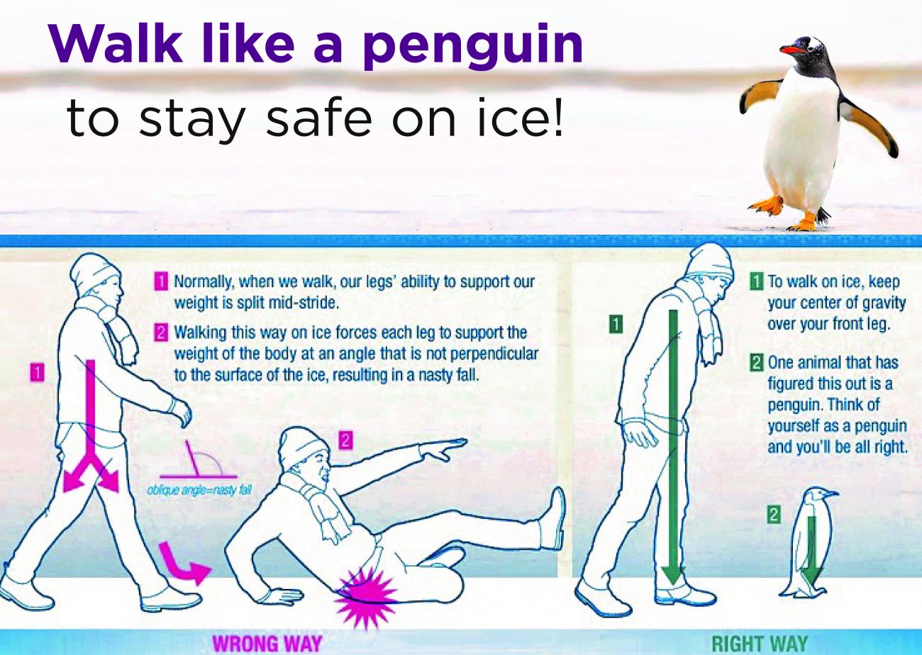 Instructions for staying safe while walking on ice