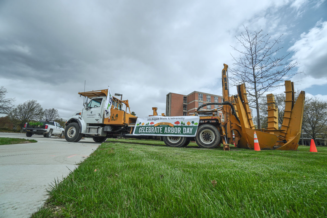 IPF Landscape Services planting a pin oak for Arbor Day 2020