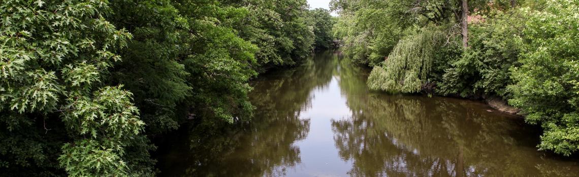 red cedar river