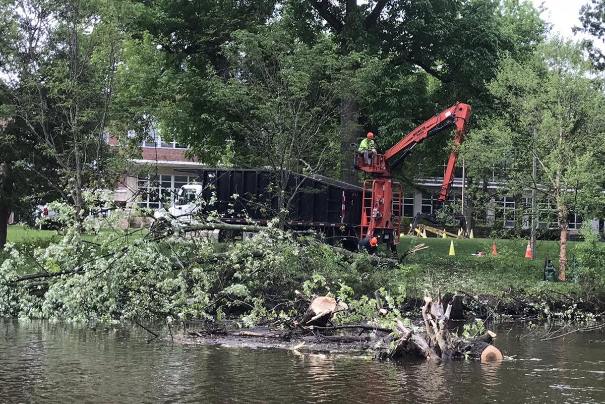 Landscape Services' arborists recently removed both a downed cottonwood tree and a downed silver maple fallen across the Red Cedar River as a result of flooding and high winds from recent storms.