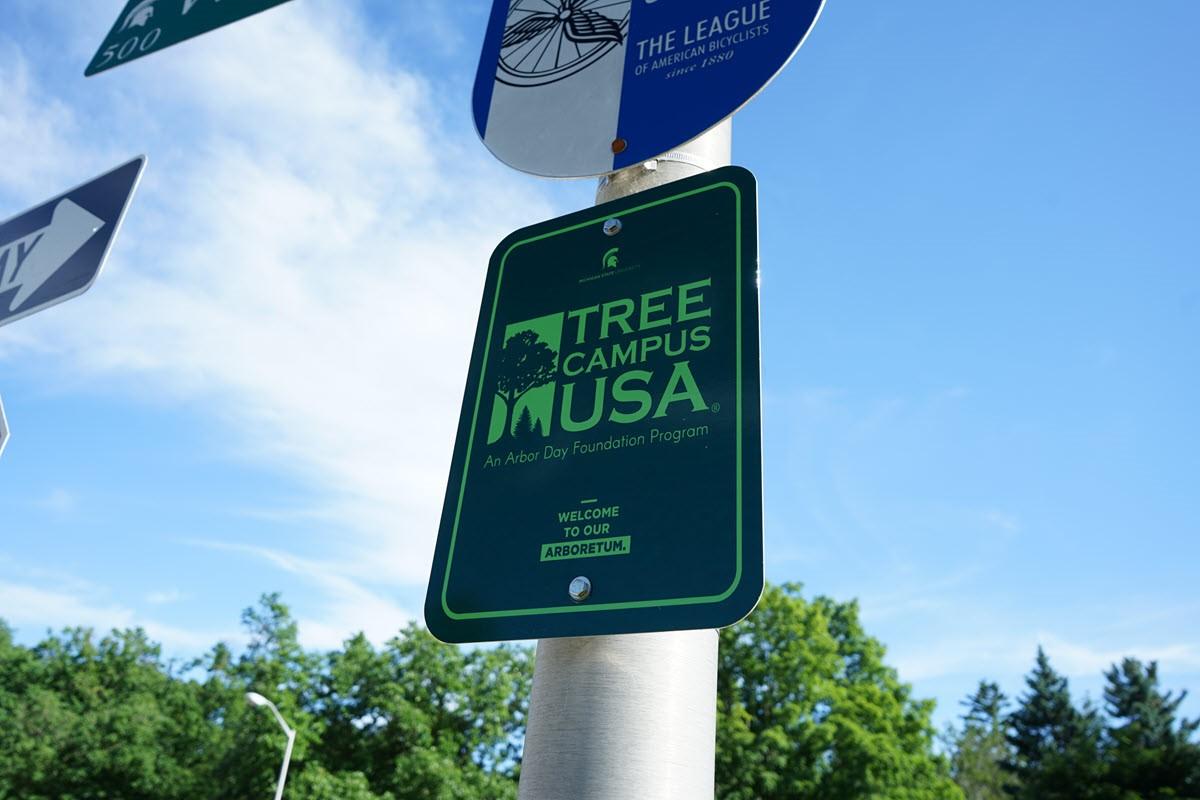 Photo of new signage springing up around campus celebrating our designation as a Tree Campus USA university for the third year in a row