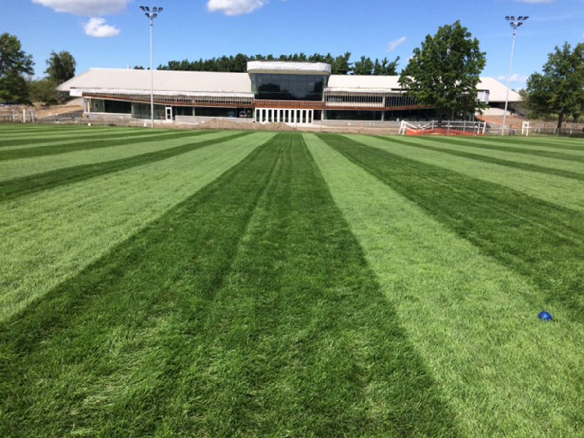 Munn Field showing striped mowing effect