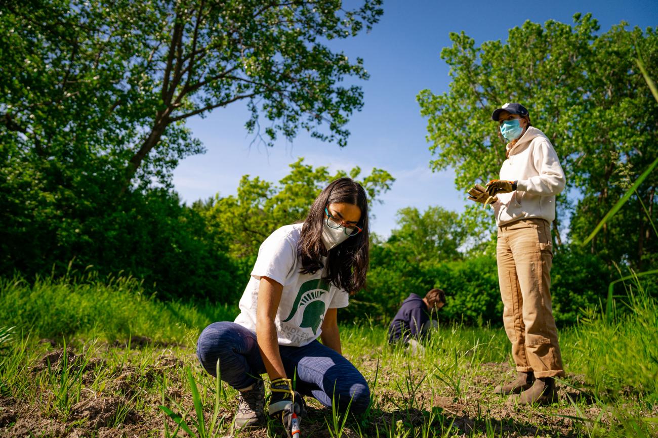 Juhi Parekh kneels in the foreground planting while Lydia Rooney and Sarah Naughtin work in the background