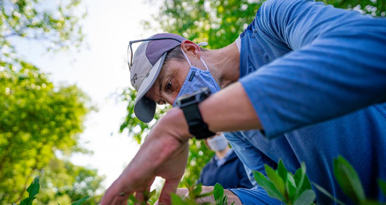 Lars Brudvig inspects plants