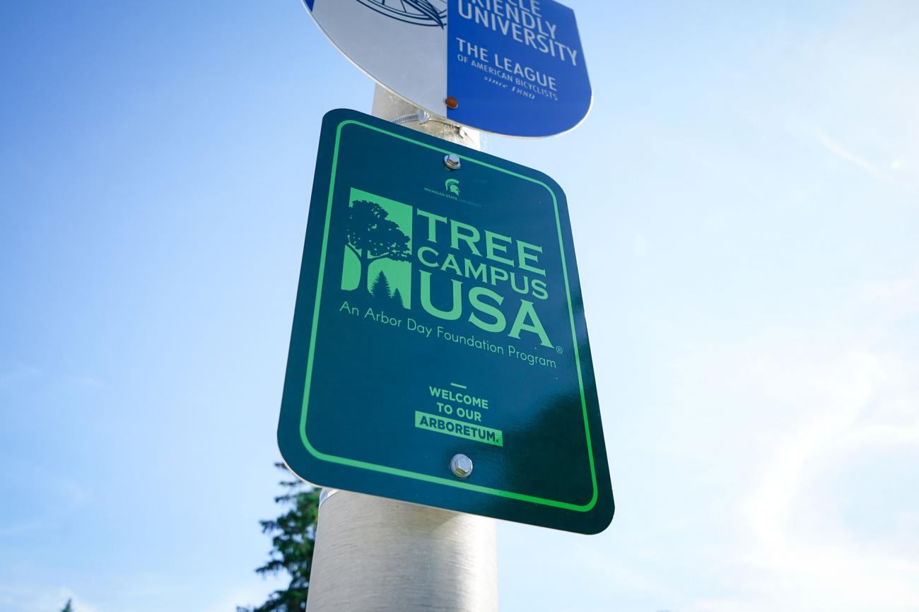 Tree Campus USA sign on a campus light pole