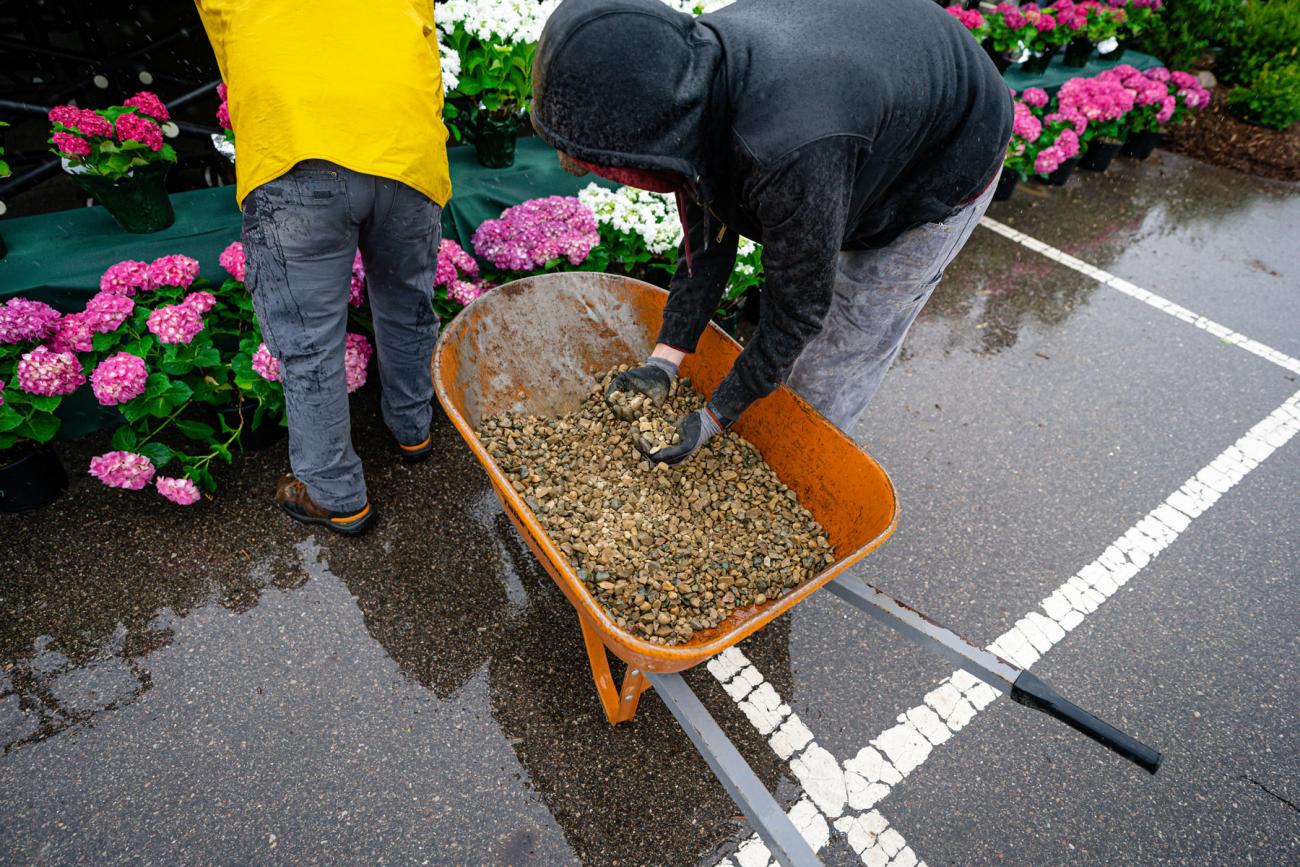 Two people scoop gravel out of a wheelbarrow to spread around pots of flowers.