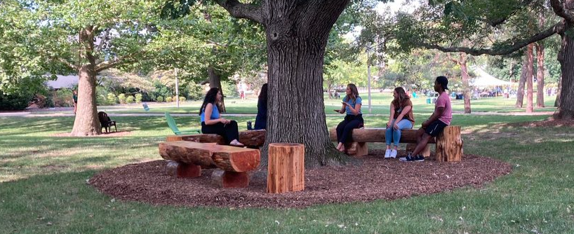 Students gather under a tree on a green quad, sitting on benches that look like logs sawed in half