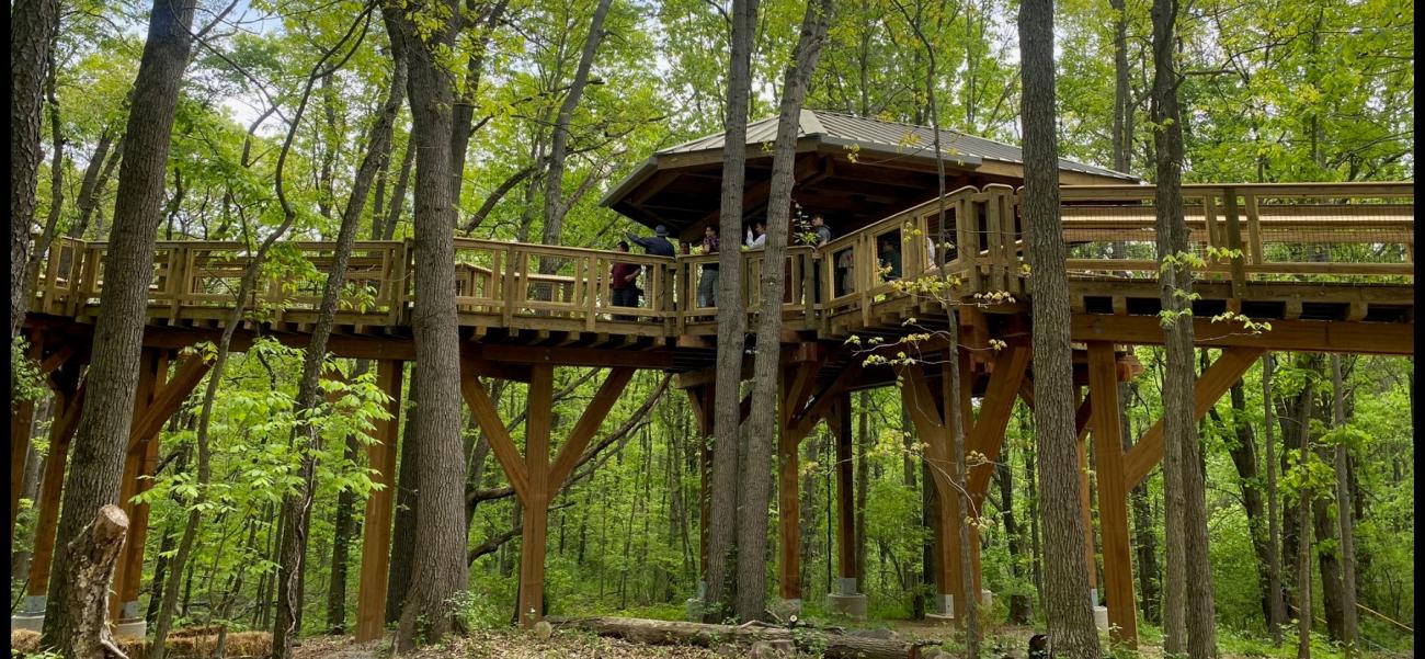 Canopy walk entrance and outdoor classroom.