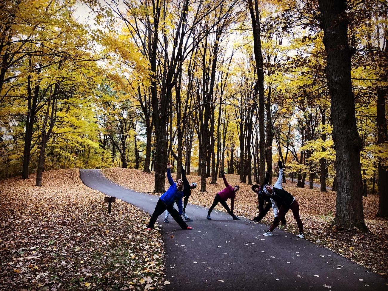 Yoga participants stretching in a forest in the fall.