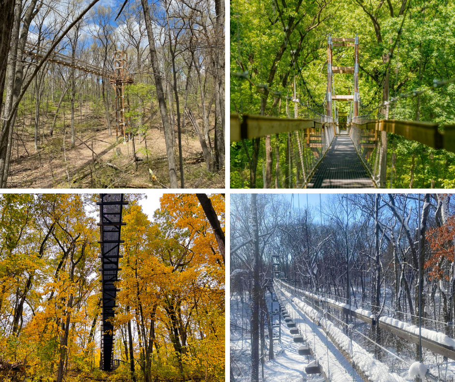 The four seasons of the Sky Walk.