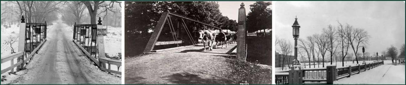 three historic photos of the Farm Lane Bridge, one with livestock traversing the metal one-lane bridge