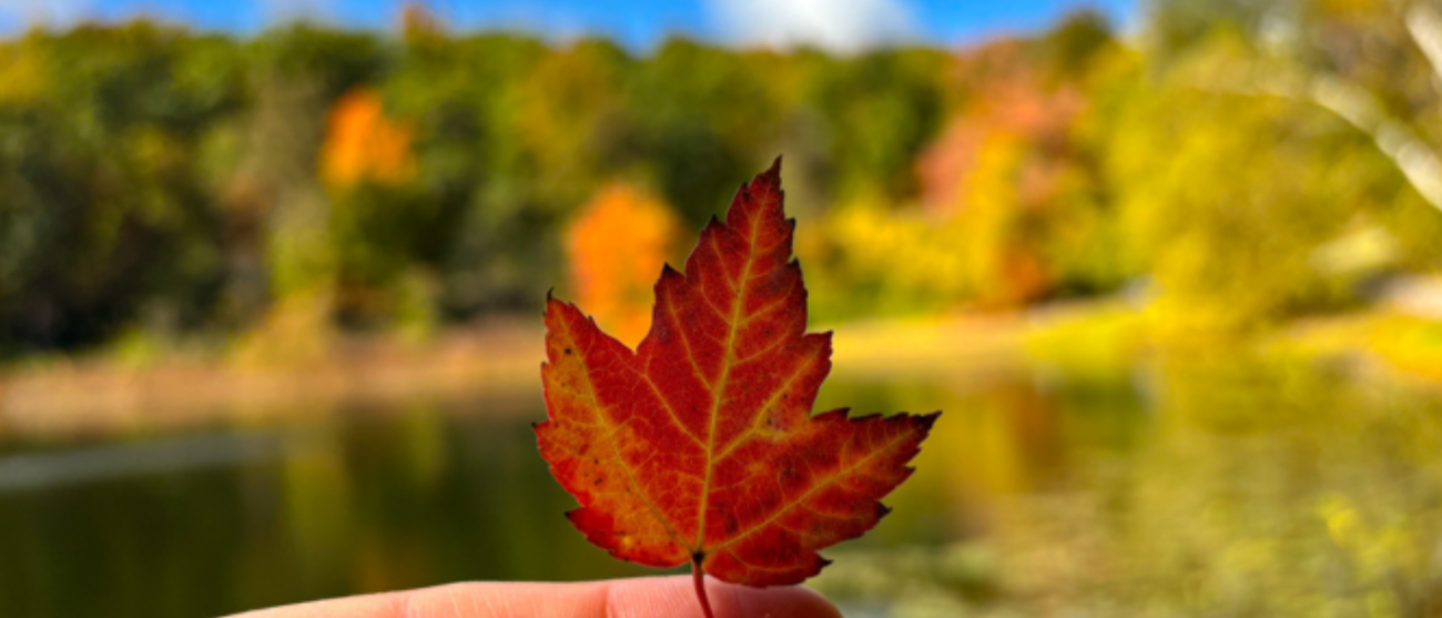 Maple leaf held up in front of Hidden Lake.