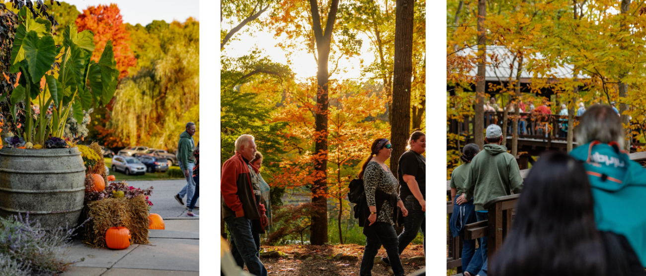 Scenes from the 2024 Fall Foliage Festival.