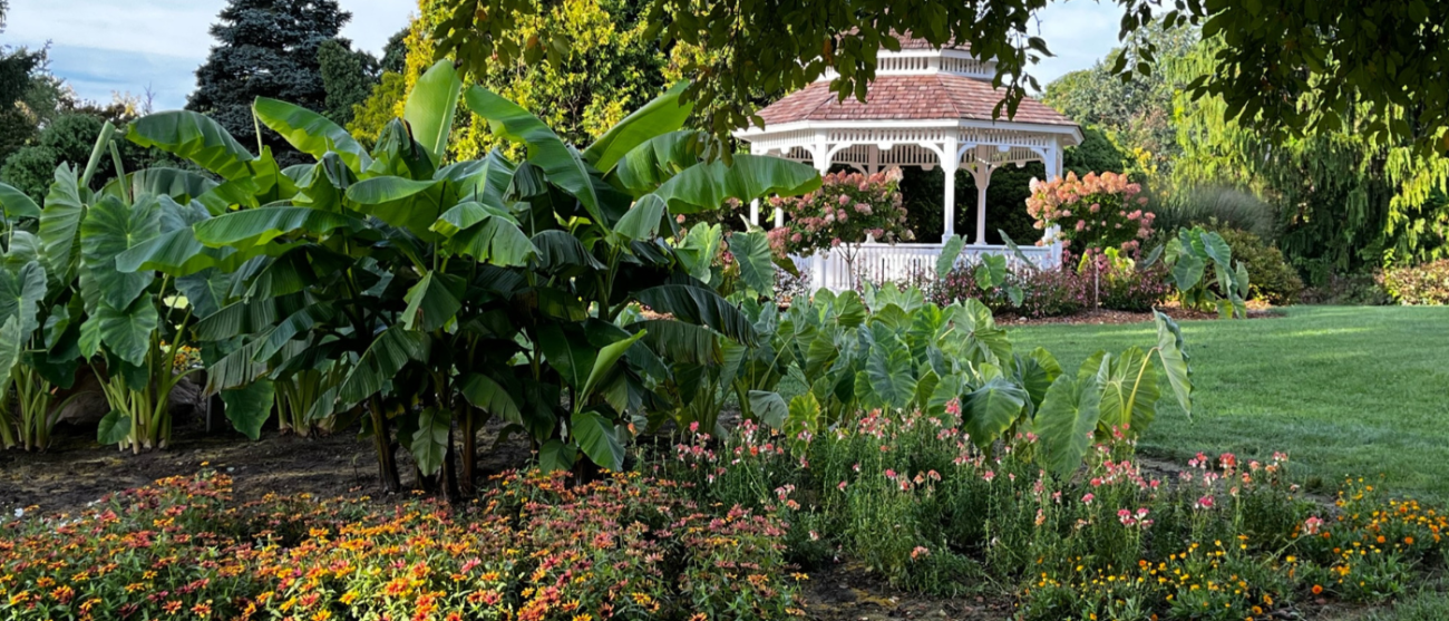 The Gazebo Garden.