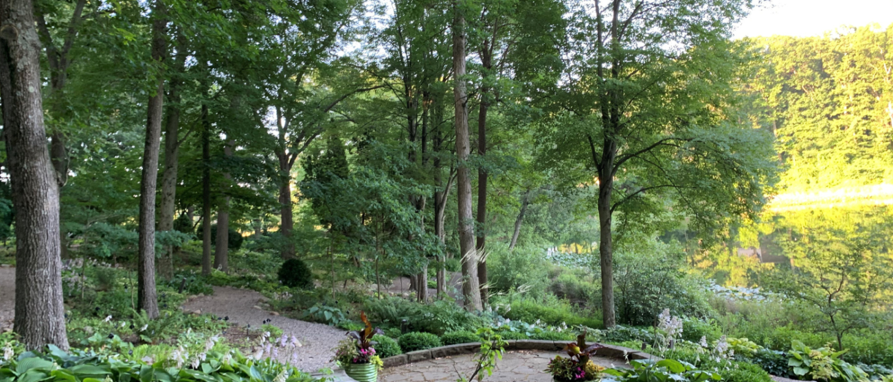 The Hosta Hillside.