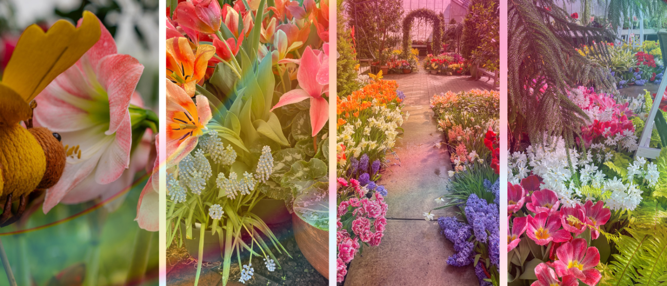 Collage of photos from the Spring Flower Show.