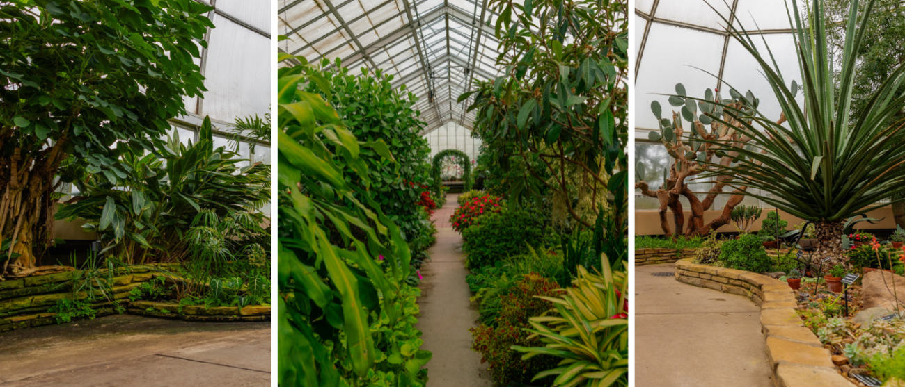 Photo collage of the greenery inside the Conservatory.