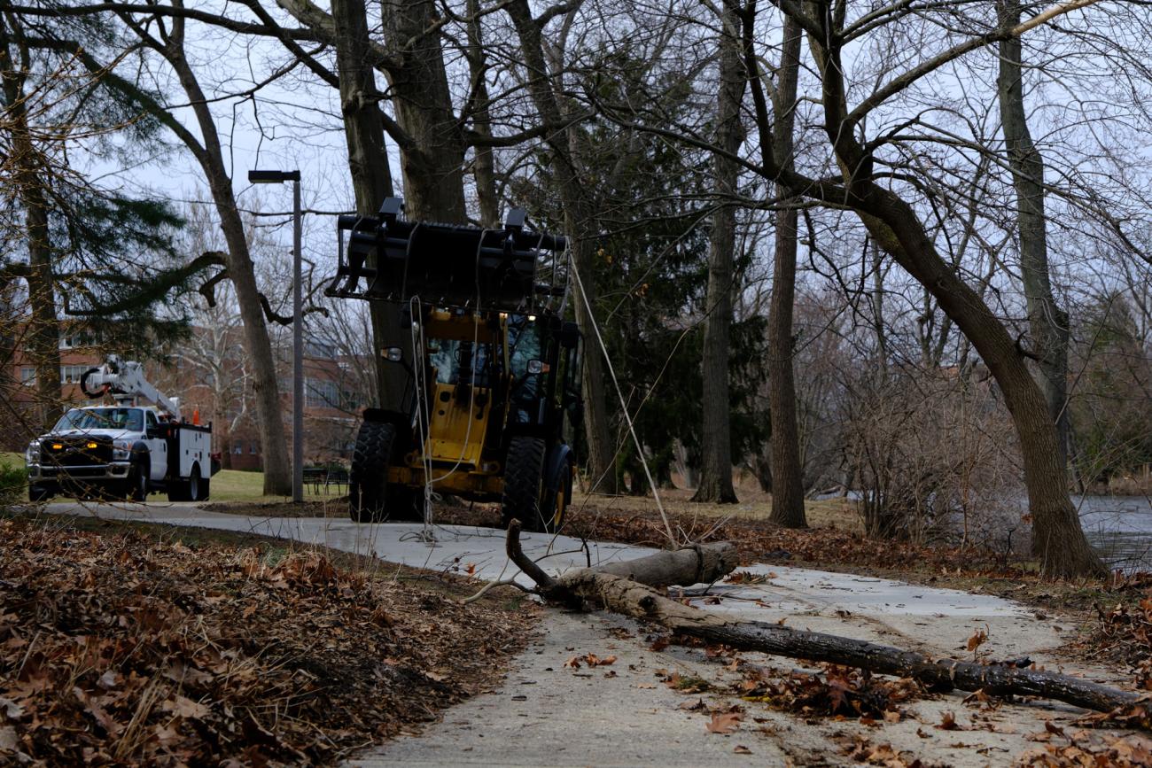 A frontloader with rope attached to it pulls heavy branches out of the Red Cedar River.