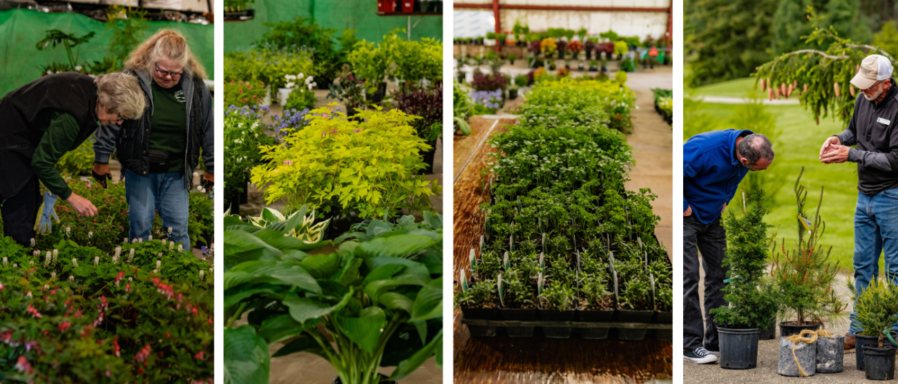 Photos from the 2024 Annual Plant Sale.