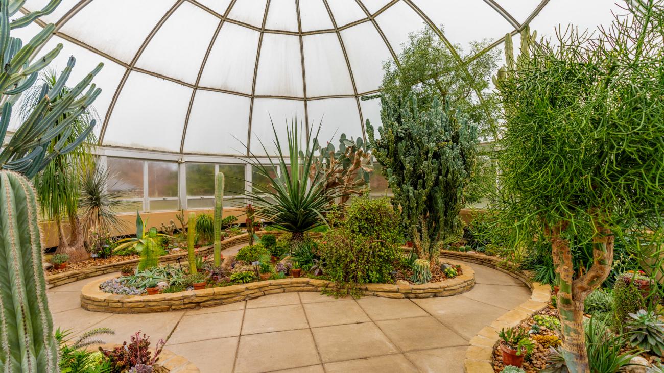 The Arid Dome at HLG.