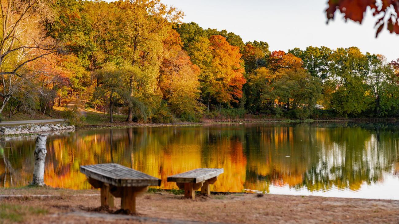 Benches by the Hidden Lake.
