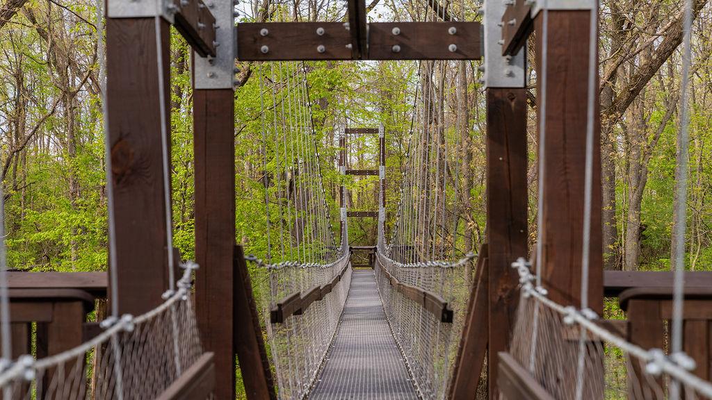 The Reach for the Sky Canopy Walk at HLG.