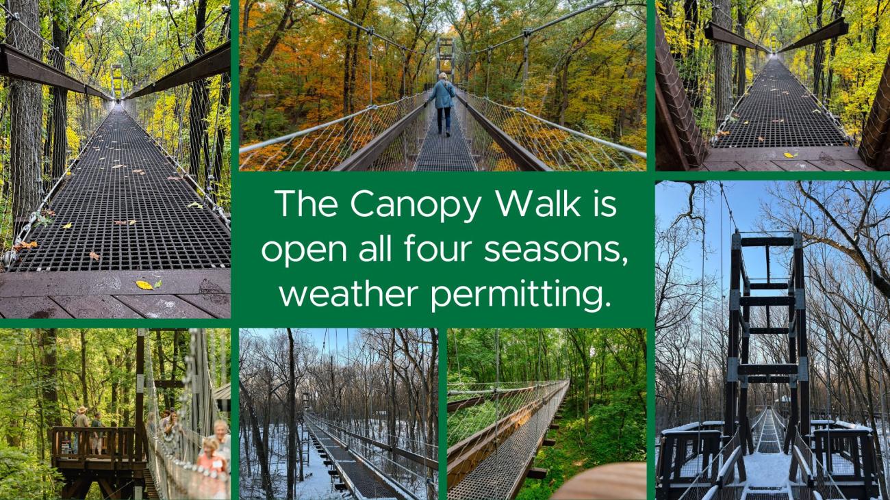 The four seasons of the Sky Walk.