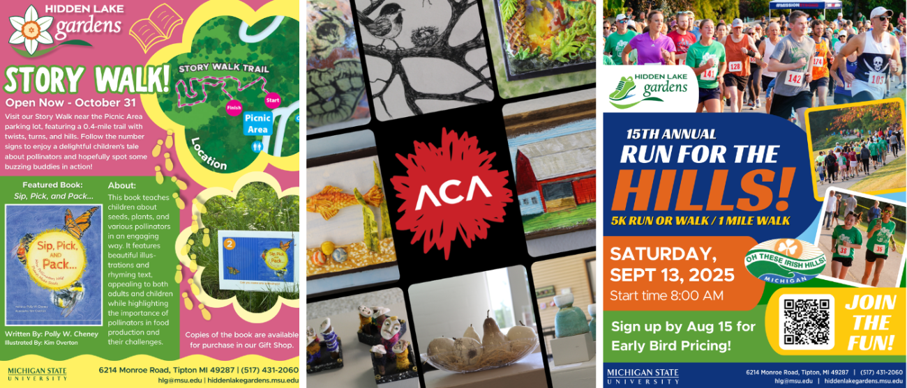 Story Walk, ACA Art Exhibit and Run for the Hills! event flyers.