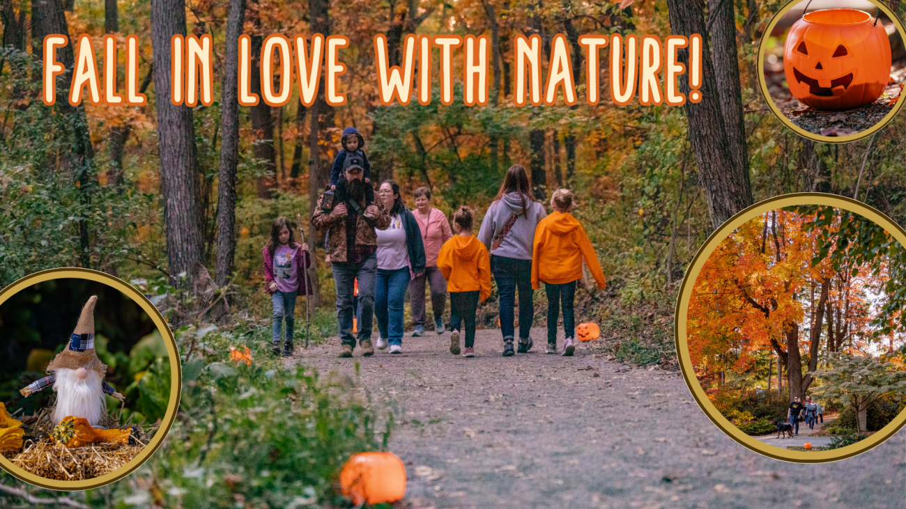 Fall in love with nature!