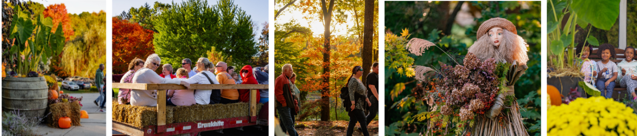 Collage of the Fall Foliage Festival 2024 photos.