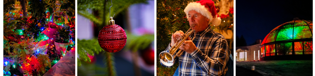 Photo collage of Conservatory at event.