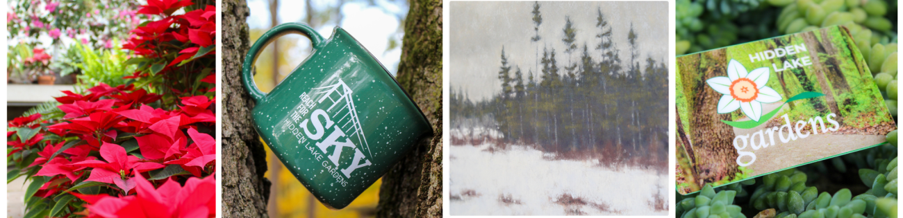 Photos of seasonal highlights as described below.