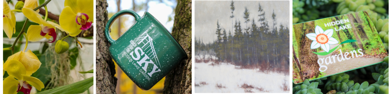 Photos of seasonal highlights as described below.