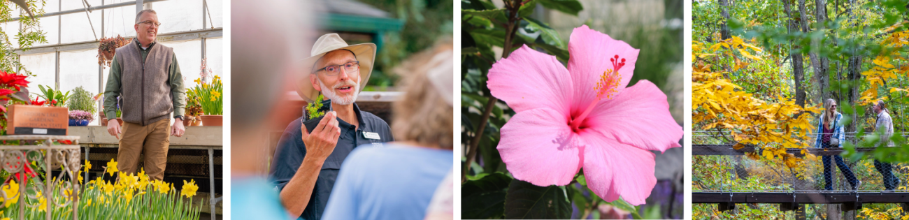 Collage showcasing some of the topics described.