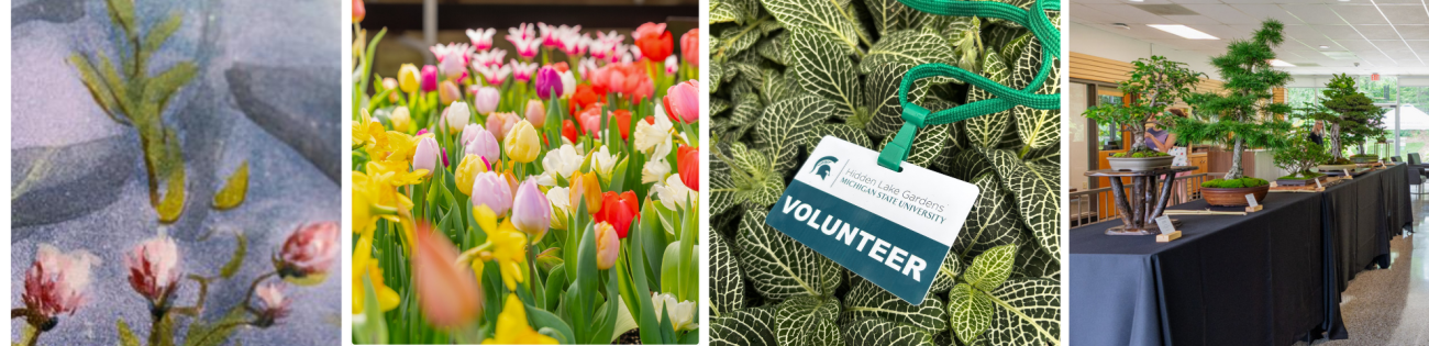 Photo grid of highlighted events.