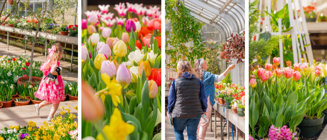 Photos of the Spring Flower Show in 2025.