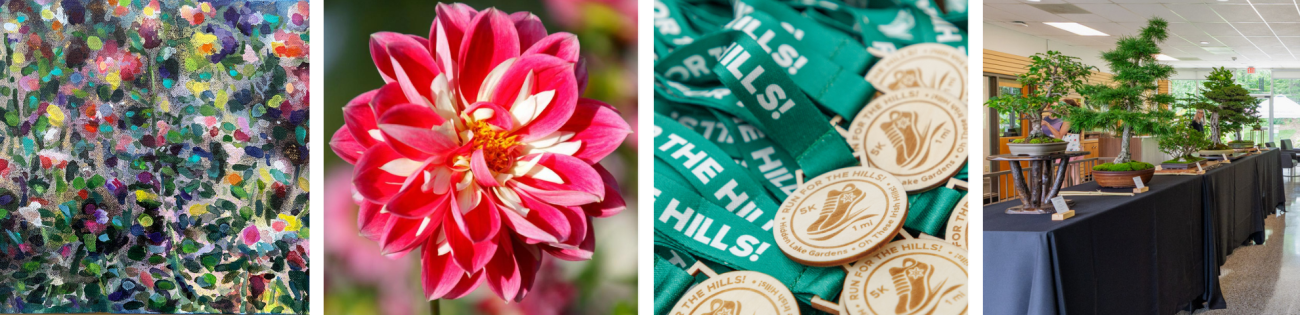 Highlighted upcoming events at HLG.