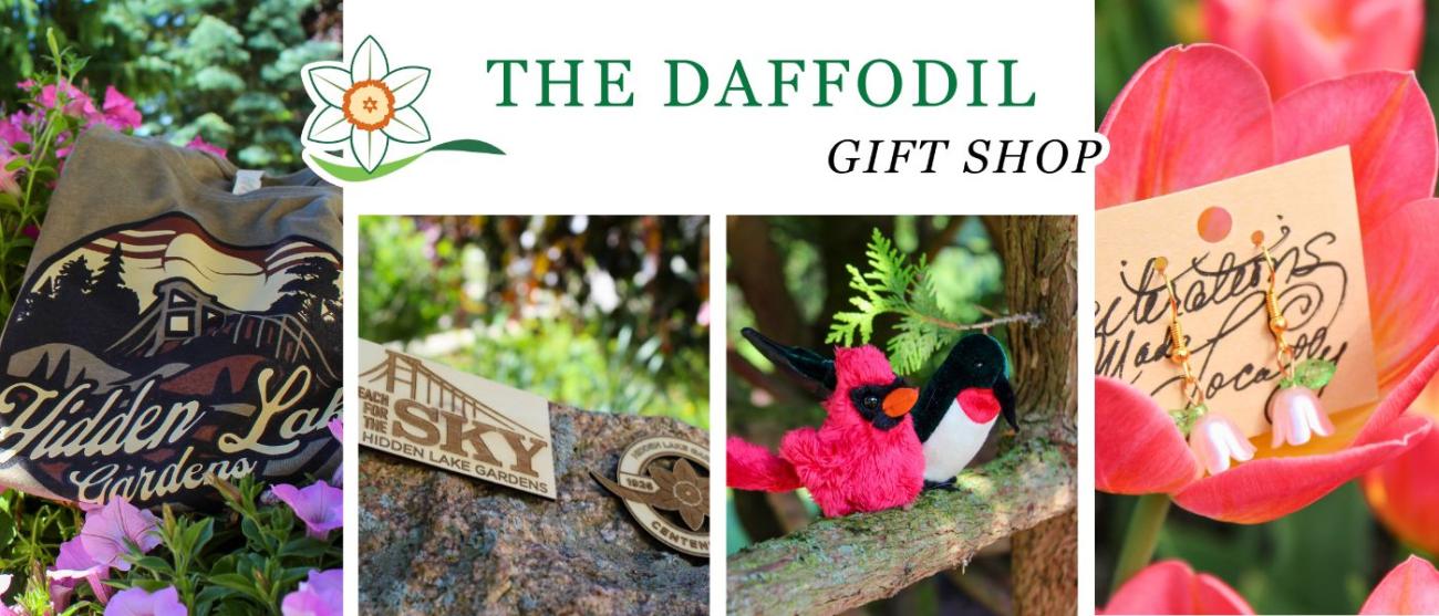 Collage of gift selections available in the Giftshop.