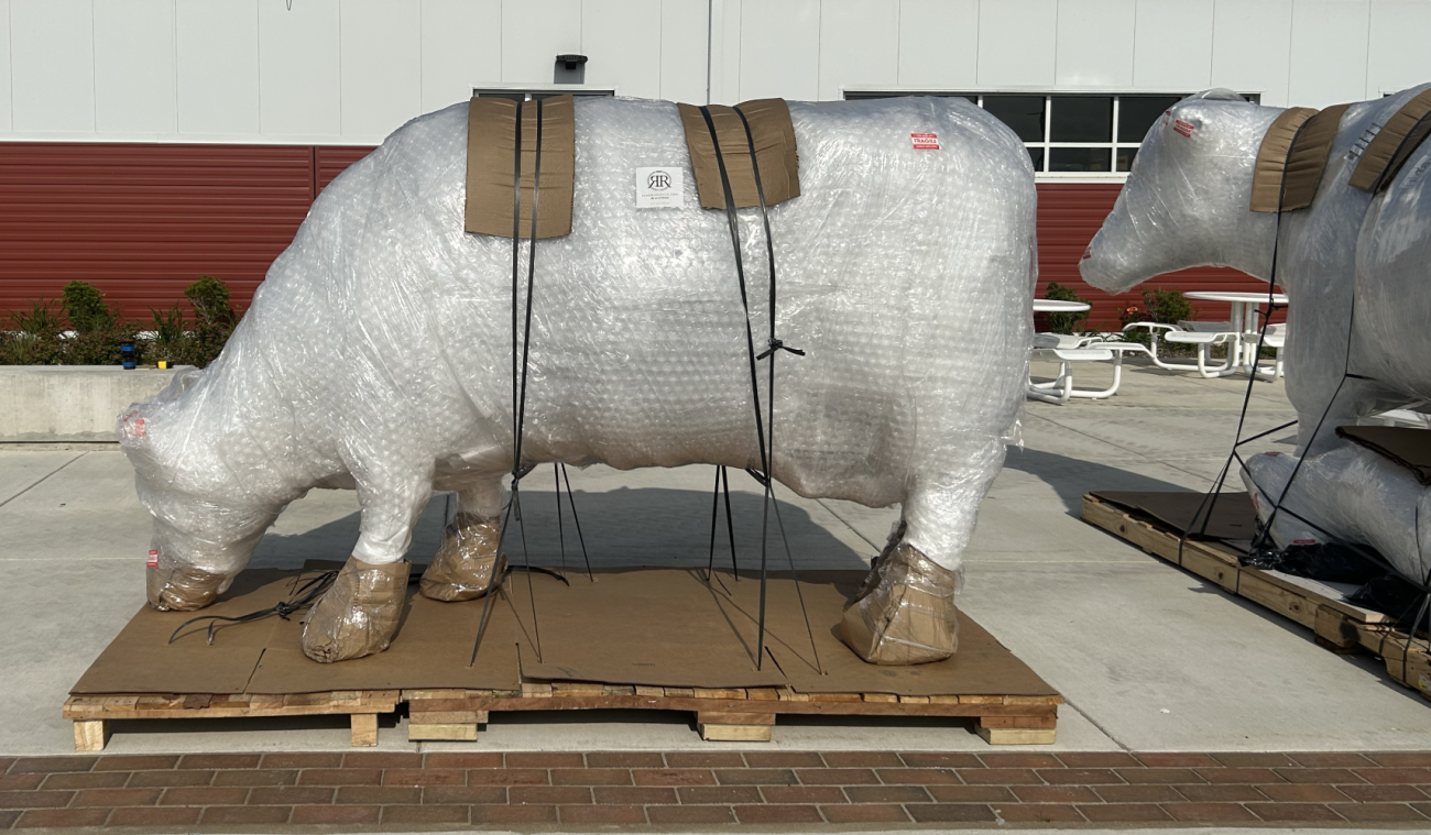 Bubble wrapped bronze cow statue
