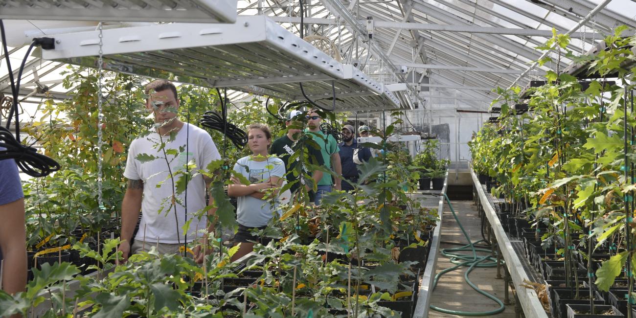 horticulture students walking through the beaumont nursery greenhouse