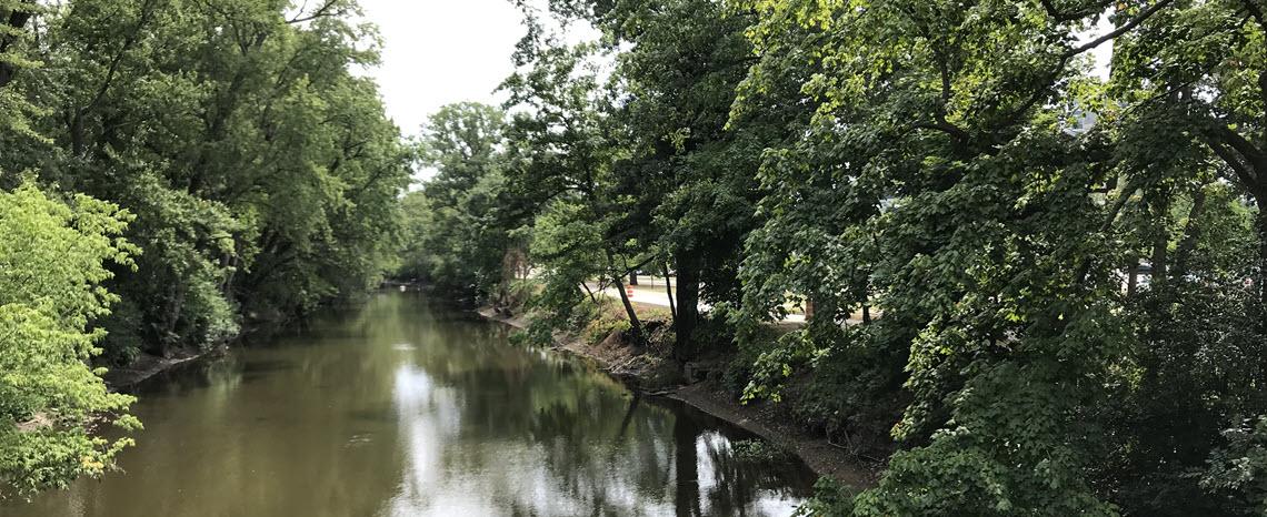 Photo of the portion of the Red Cedar River targeted for restoration