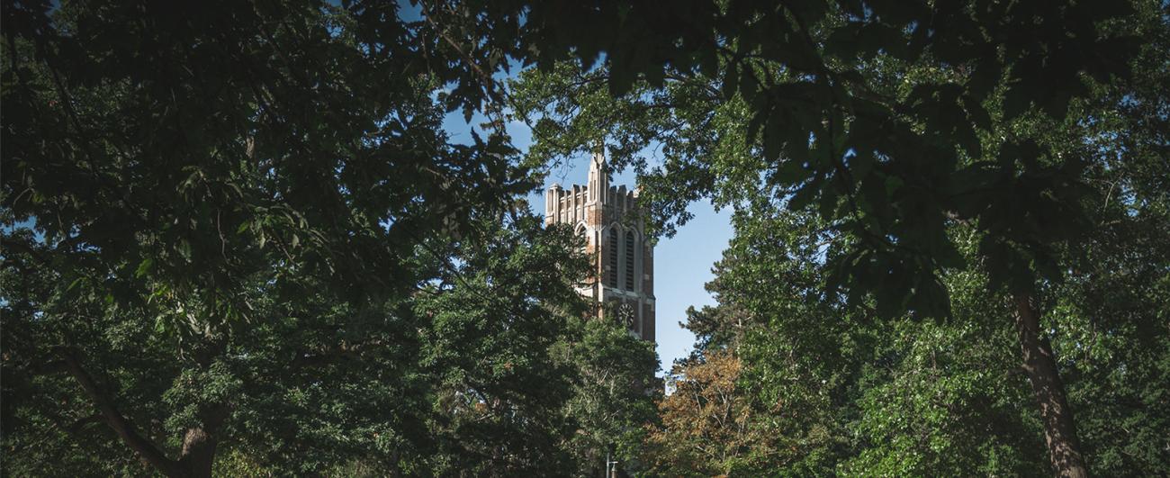 Photo of Beaumont Tower surrounded by trees