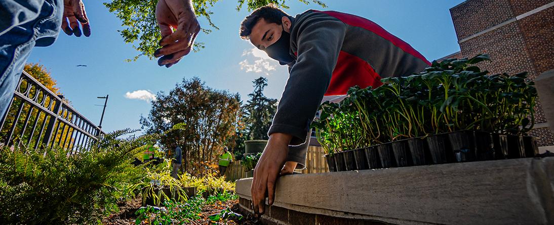 MSU student planting plants at MSU Union