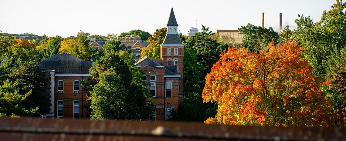 Image of the campus tree canopy during autumn, leaves are changing to orange and red