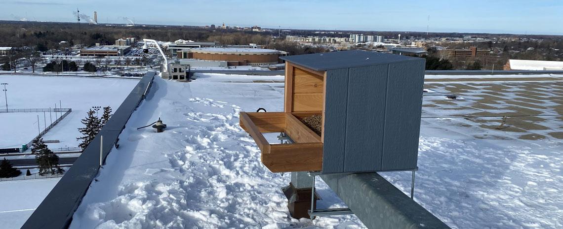 A pine box mounted on the snowy roof of the Spartan Stadium press box