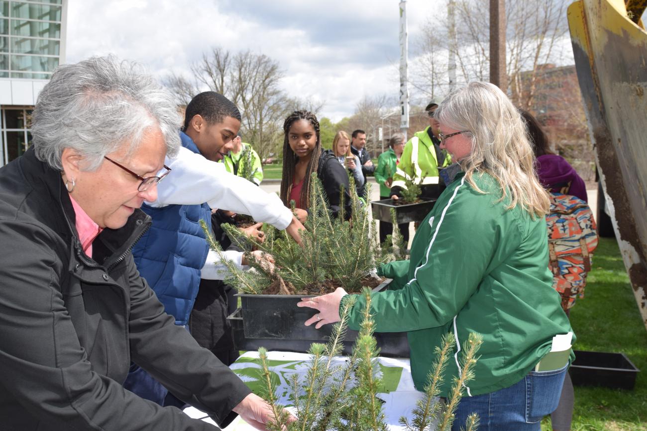 Photo of tree giveaway at an Arbor Day Celebration at MSU.